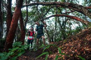 BIB: 
                            <button type="button" onclick="openModal(26345199)" class="btn btn-primary btn-sm float-right btn-popup" data-toggle="modal" data-target=".modal-high-quality">
                        <i class="fas fa-shopping-cart"></i> Add to Cart
                    </button>
                                            <button type="button" onclick="isThisMe(26345199, true)" class="btn btn-success btn-sm float-right btn-popup btn-isme hidden" data-toggle="tooltip" data-placement="bottom" title="นี่คือรูปของคุณใช่ไหม คลิกที่นี่เพื่อเอาเข้าอัลบั้ม">
                        <i class="fas fa-plus"></i> Add to album
                    </button>
                    <button type="button" onclick="isThisMe(26345199, false)" class="btn btn-warning btn-sm float-right btn-popup btn-isnotme hidden">
                        <i class="fas fa-ban"></i> Remove from album
                    </button>